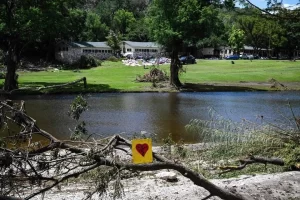 De Michoacán para el mundo; 'Erik' y 'Bata', caninos que apoyan en Texas por inundaciones