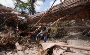 De Michoacán para el mundo; 'Erik' y 'Bata', caninos que apoyan en Texas por inundaciones