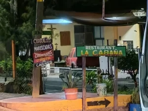 La Presidenta Municipal de Cuitzeo sobrevive a otro ataque; escoltas resultan heridos