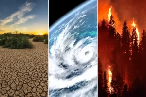 La UNAM necesita acciones prácticas para avanzar en sustentabilidad