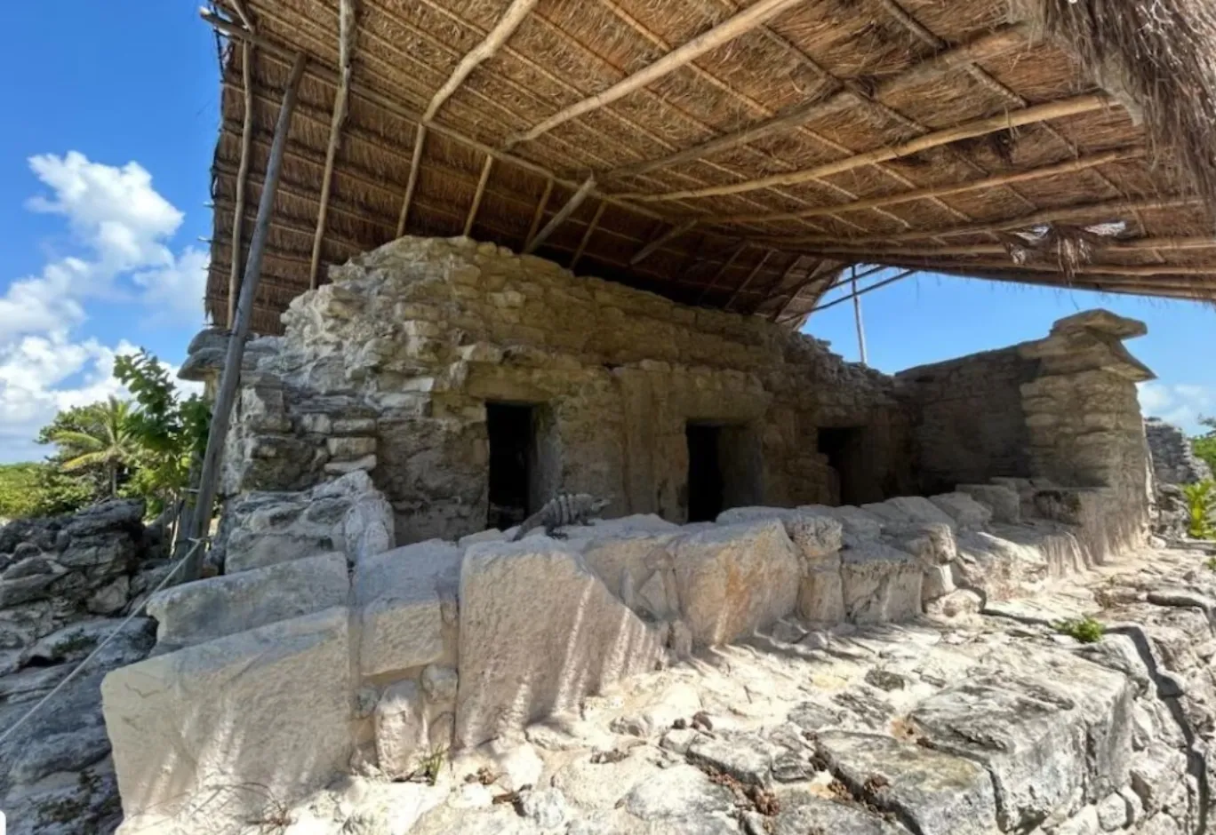 Ruinas mayas en el circuito hotelero de Cancún; INAH reabre zona arqueológica El Rey