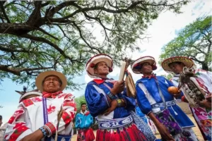 Ruta Wixárika a Wirikuta, tradición reconocida por la UNESCO