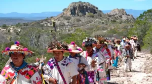 Ruta Wixárika a Wirikuta, tradición reconocida por la UNESCO