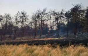 Turquía, Grecia y Bulgaria sufren devastadores incendios en plena ola de calor extremo