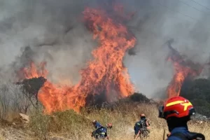 Turquía, Grecia y Bulgaria sufren devastadores incendios en plena ola de calor extremo