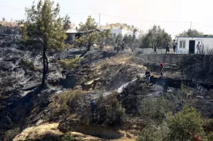 Turquía, Grecia y Bulgaria sufren devastadores incendios en plena ola de calor extremo