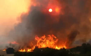 Turquía, Grecia y Bulgaria sufren devastadores incendios en plena ola de calor extremo