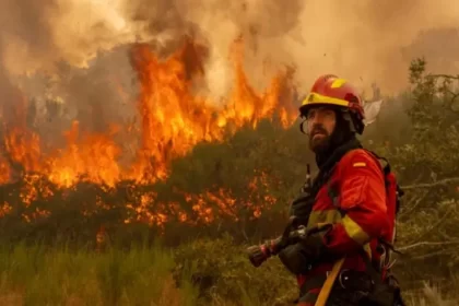 Incendios forestales España