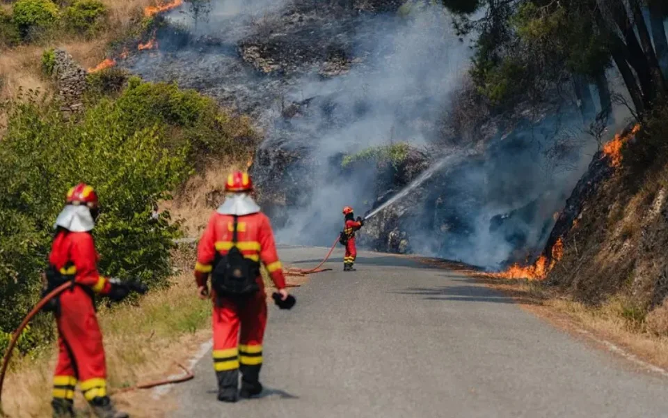 Incendios forestales España