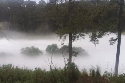 Emergencia en Tlaxcala fuga de gas LP causa pánico y evacuación masiva en Nanacamilpa