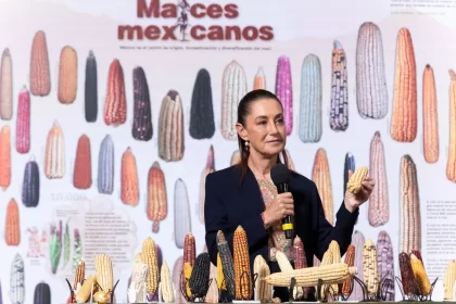 Presidenta Claudia Sheinbaum anuncia programa “Sin Maíz No Hay País” para producir con bienestar