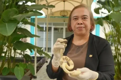La única doctora especializada en veneno de serpientes en uno de los países con más víboras del mundo