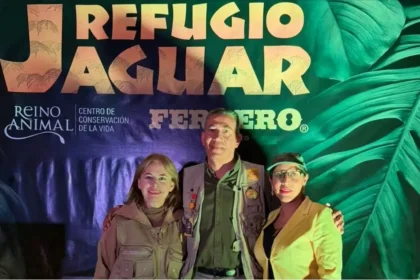 Proyecto inicia pruebas de ADN en jaguares para lograr su reproducción en cautiverio