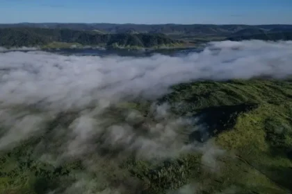 Mapas y fotos muestran la lenta muerte de la Amazonía y por qué el mundo debería preocuparse