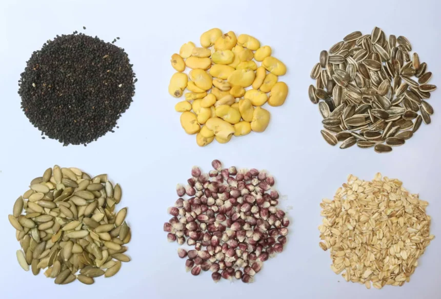 Indagan los “secretos que guardan” semillas