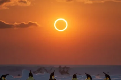 Eclipse solar anular de “anillo de fuego” en 2026