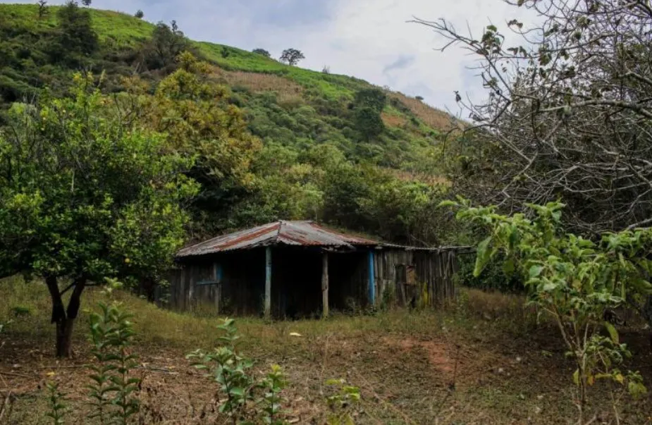 FGR localiza 10 cuerpos en búsqueda de mineros desaparecidos
