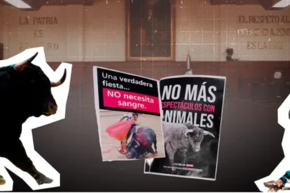 Suprema Corte permite corridas de toros y peleas de gallos