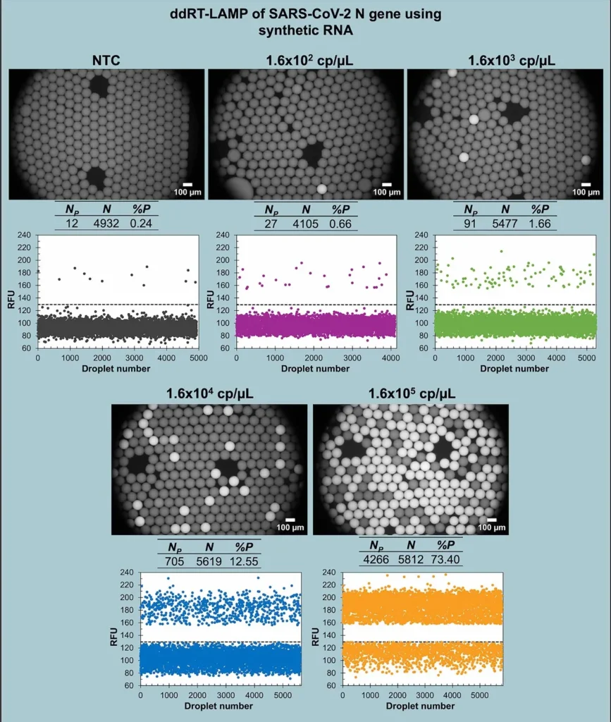 etección rápida y precisa del virus SARS-CoV-2