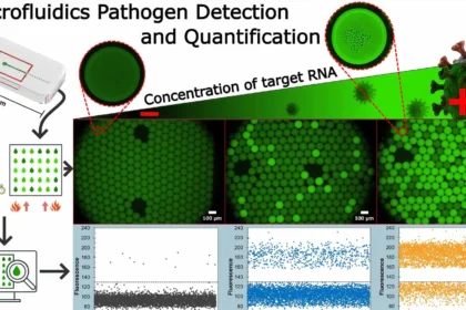 etección rápida y precisa del virus SARS-CoV-2