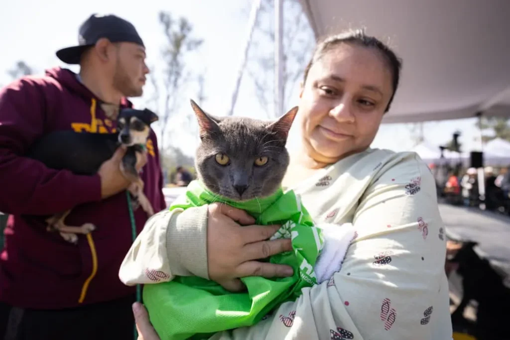 Clara Brugada va por cero perros en situación de calle en CDMX