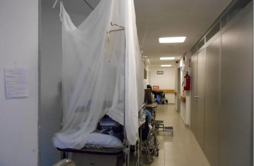 Confirman primeras muertes por Dengue en México