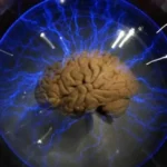 El cerebro consume 20 por ciento de la energía y oxígeno que respiramos Luis Tovar y Romo