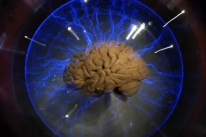 El cerebro consume 20 por ciento de la energía y oxígeno que respiramos Luis Tovar y Romo