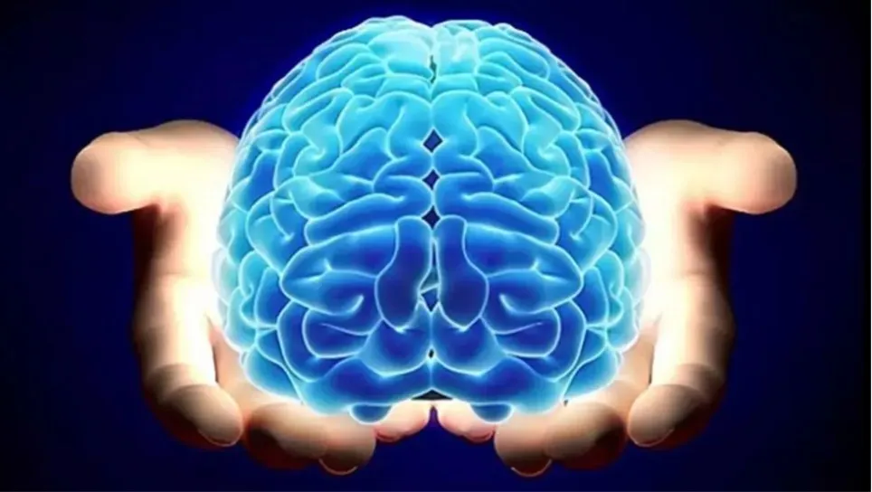 El cerebro consume 20 por ciento de la energía y oxígeno que respiramos Luis Tovar y Romo