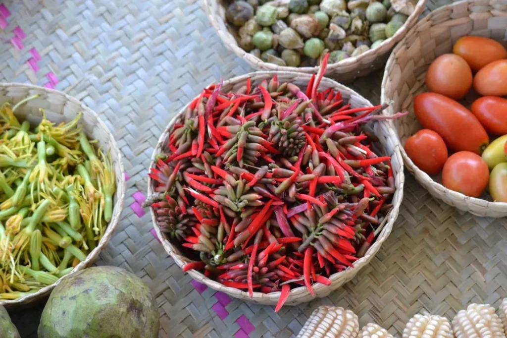 Identifican en la Mixteca Alta de Oaxaca plantas silvestres alimenticias