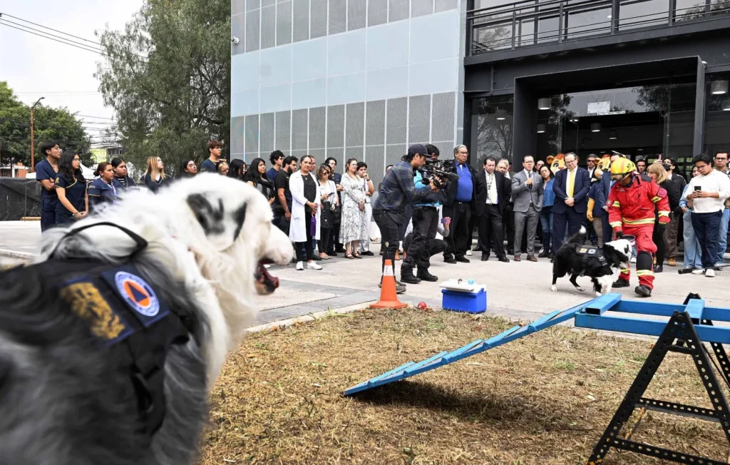 Recibe la UNAM, en donación, dos caninos para detección y prevención de riesgos