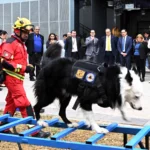 Recibe la UNAM, en donación, dos caninos para detección y prevención de riesgos
