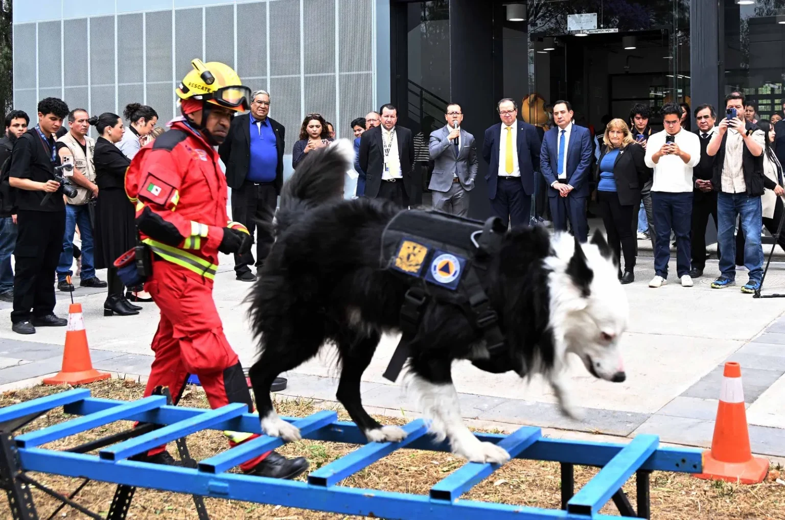 Recibe la UNAM, en donación, dos caninos para detección y prevención de riesgos