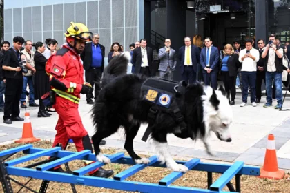 Recibe la UNAM, en donación, dos caninos para detección y prevención de riesgos