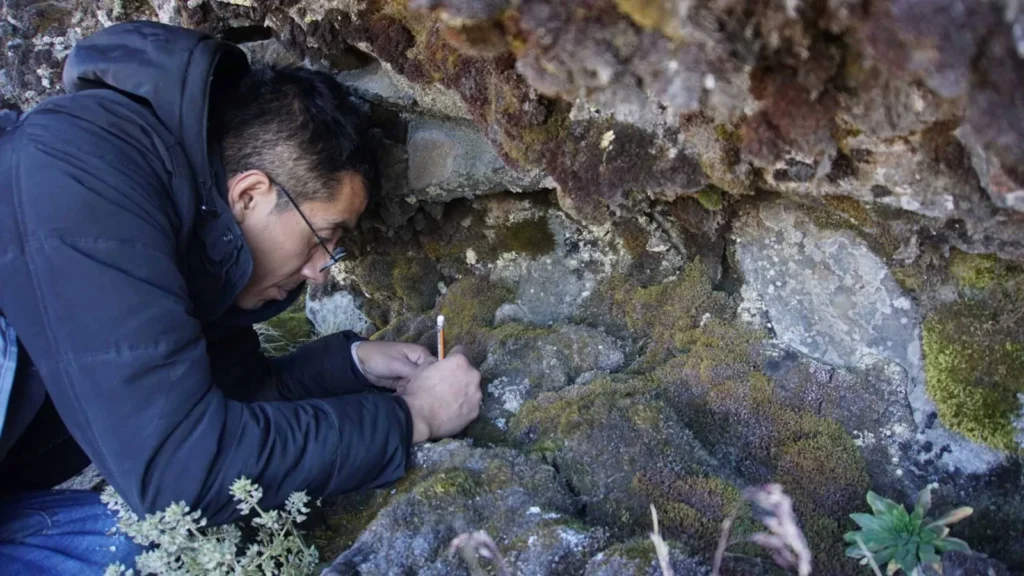 Coadyuva universitario a descubrir y caracterizar “estrella microscópica” en el Iztaccíhuatl