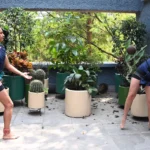 Mujeres, en la trama del juego de pelota ulama de cadera