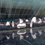 El MUAC revoluciona el acceso al arte contemporáneo con su nueva plataforma digital de acervo