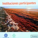 Intensa labor de especialistas de la UNAM sobre el sargazo