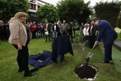 La UNAM conmemora sus 475 años con la siembra de 475 ahuehuetes en sus facultades