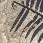 Laboratorio de Investigaciones Antropológica celebra 50 años de Paleoetnobotánica y Paleoambiente
