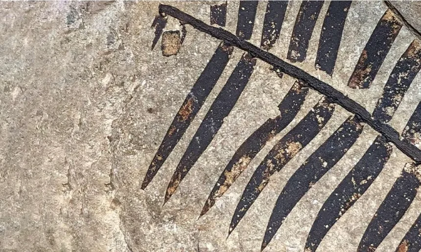 Laboratorio de Investigaciones Antropológica celebra 50 años de Paleoetnobotánica y Paleoambiente
