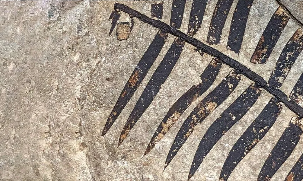 Laboratorio de Investigaciones Antropológica celebra 50 años de Paleoetnobotánica y Paleoambiente