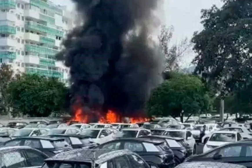 fallece Oliver Tree tras accidente aéreo en Brasil