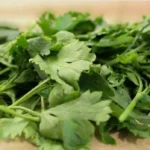 Autoridades de Estados Unidos investigan cilantro y perejil mexicanos por brote masivo de ciclosporiasis