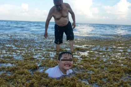 Quintana Roo retira más de 2 mil 300 toneladas de sargazo en 10 días