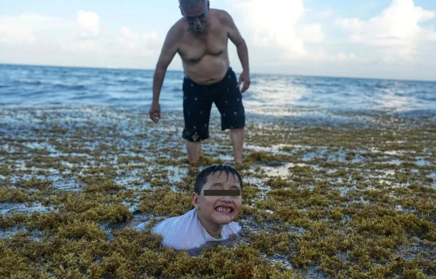 Quintana Roo retira más de 2 mil 300 toneladas de sargazo en 10 días