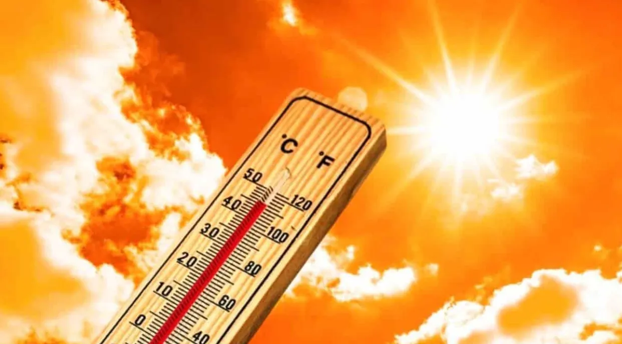 Altas temperaturas en Sonora impactan la salud de su población, alertó Carmen Isela Ortega Rosas