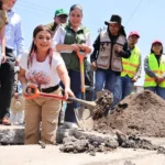 Clara Brugada lanza ambicioso programa para plantar 1.5 millones de árboles en la CDMX