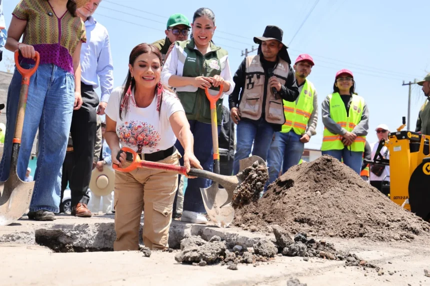 Clara Brugada lanza ambicioso programa para plantar 1.5 millones de árboles en la CDMX