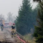 Incendios forestales azotan a Europa Bélgica combate fuego cercano a Alemania y Grecia investiga siniestros